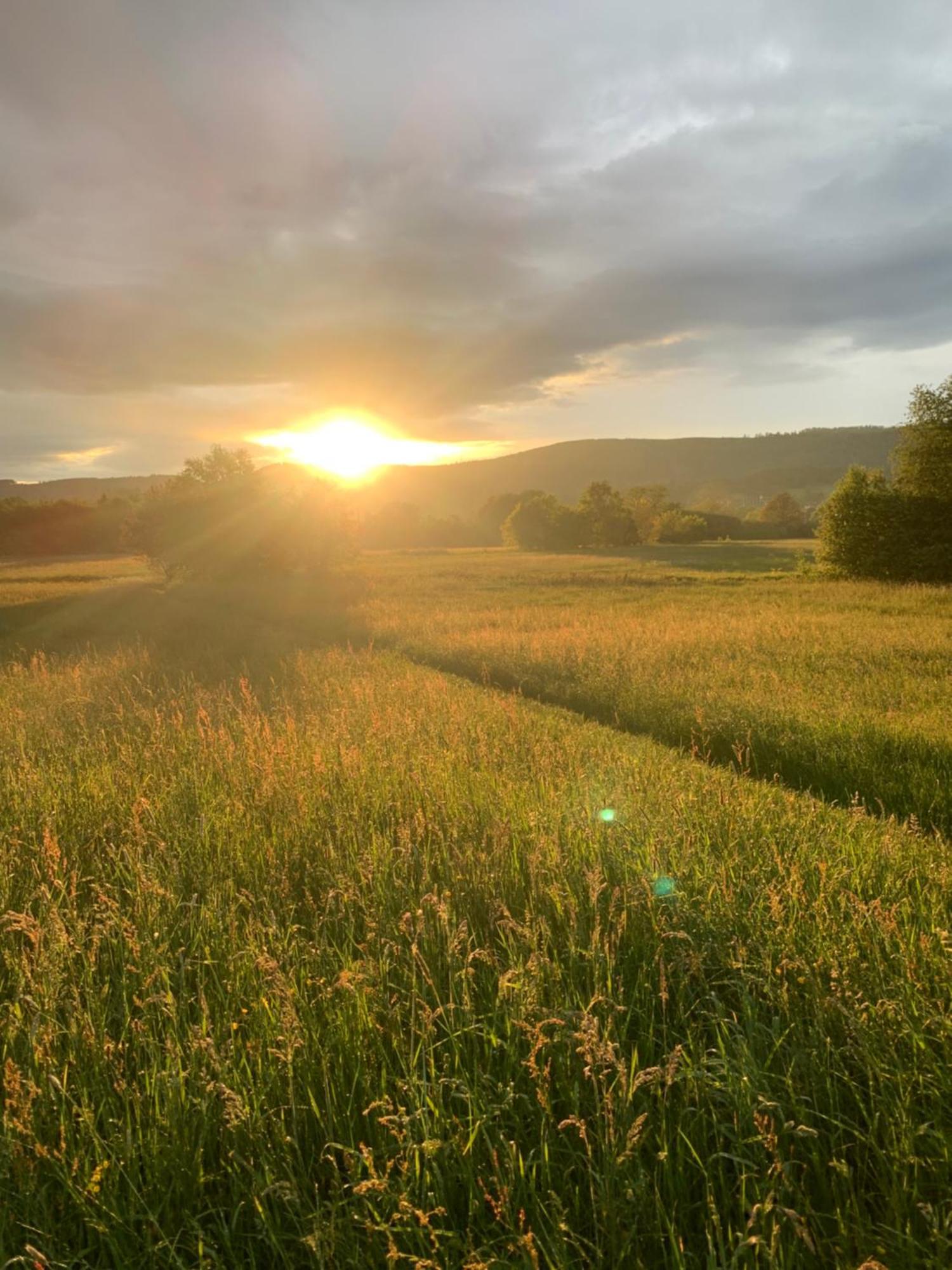 Vila Wolfs-Blick Langelsheim Exteriér fotografie