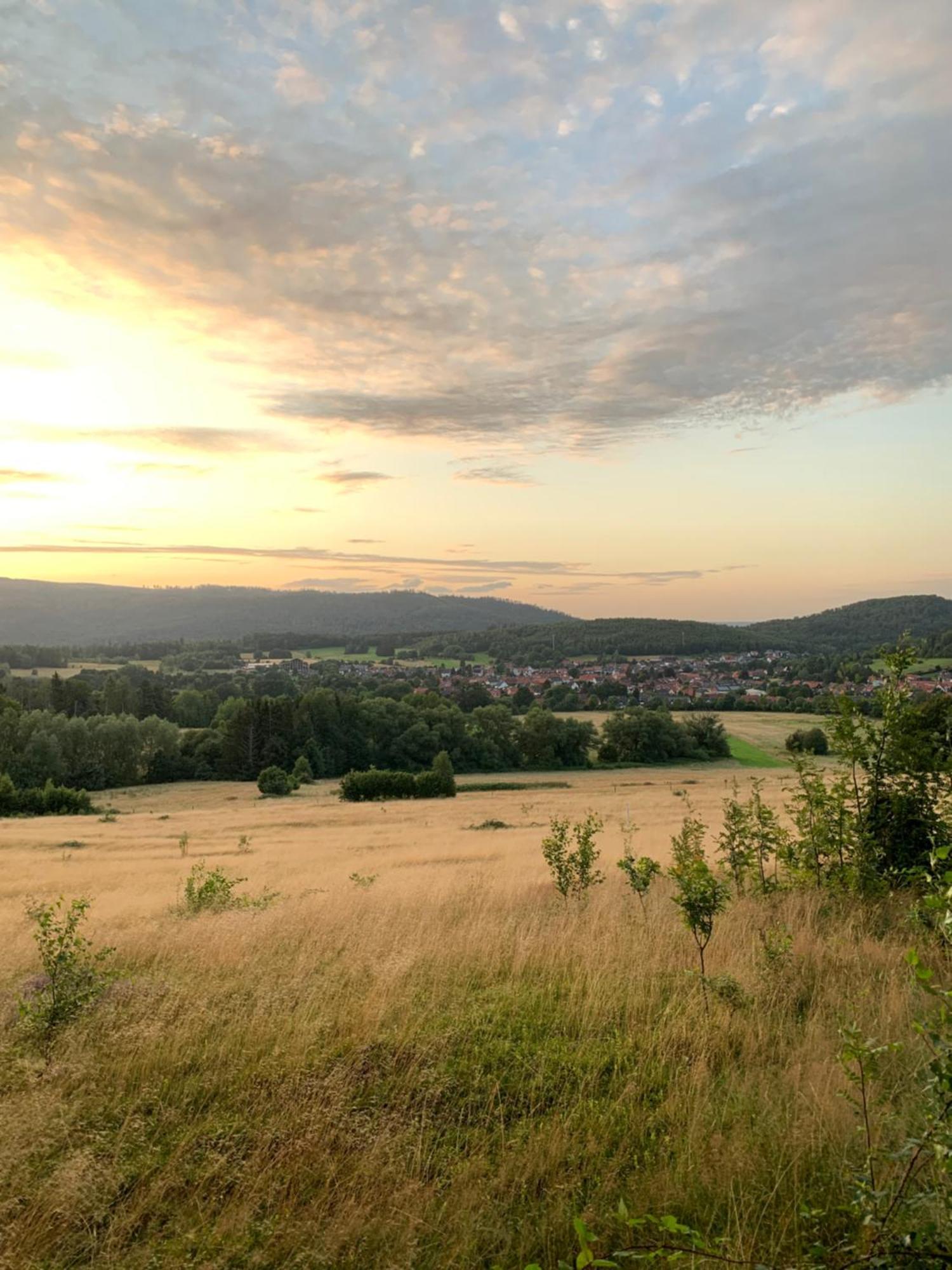 Vila Wolfs-Blick Langelsheim Exteriér fotografie